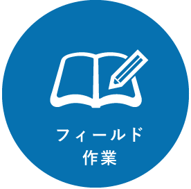 フィールド作業